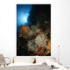 Seascape Crinoids Indonesia Wall Decal