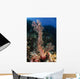 Soft Coral Seascape Indonesia Wall Decal Design 1