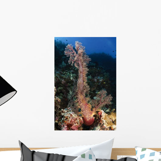 Soft Coral Seascape Indonesia Wall Decal Design 1
