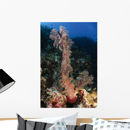 Soft Coral Seascape Indonesia Wall Decal Design 1