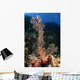 Soft Coral Seascape Indonesia Wall Decal Design 1