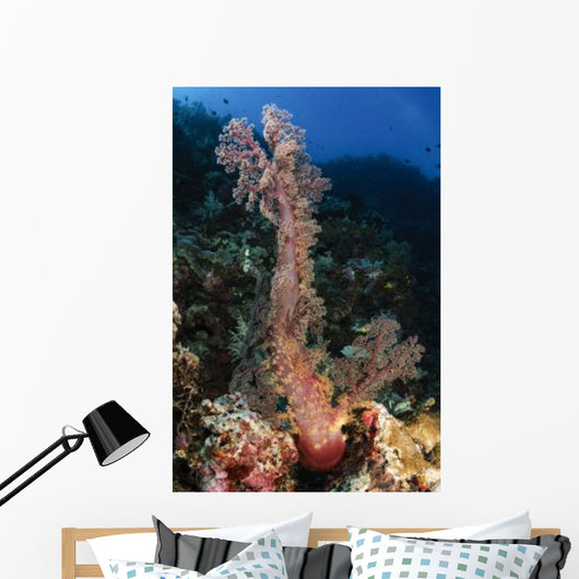 Soft Coral Seascape Indonesia Wall Decal Design 1