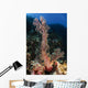 Soft Coral Seascape Indonesia Wall Decal Design 1
