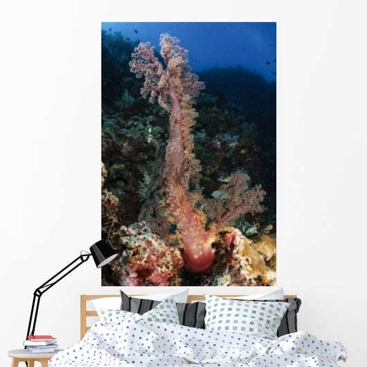 Soft Coral Seascape Indonesia Wall Decal Design 1