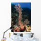 Soft Coral Seascape Indonesia Wall Decal Design 1