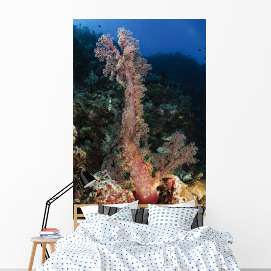 Soft Coral Seascape Indonesia Wall Decal Design 1