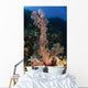 Soft Coral Seascape Indonesia Wall Decal Design 1