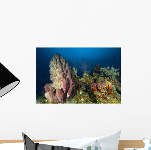 Coral Reef and Sponges Wall Decal