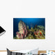 Coral Reef and Sponges Wall Decal