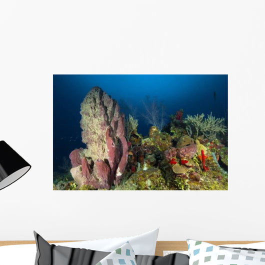 Coral Reef and Sponges Wall Decal