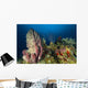 Coral Reef and Sponges Wall Decal