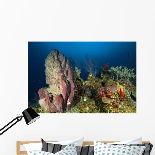 Coral Reef and Sponges Wall Decal