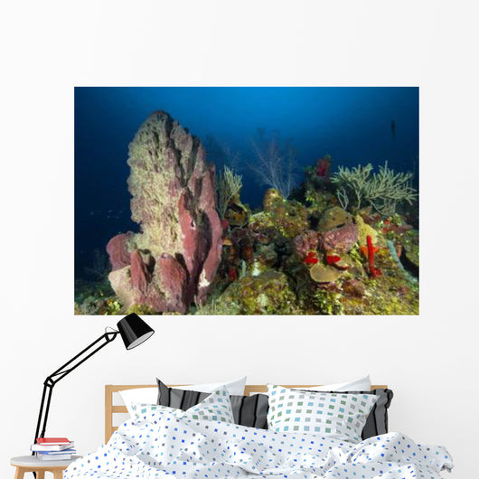 Coral Reef and Sponges Wall Decal