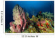 Coral Reef and Sponges Wall Decal