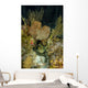 Moray Eel Belize Wall Decal
