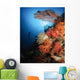 Diver Swims Soft Coral Wall Decal