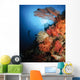 Diver Swims Soft Coral Wall Decal
