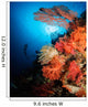 Diver Swims Soft Coral Wall Decal