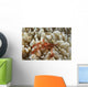 Orangutan Crab Bubble Coral Wall Decal