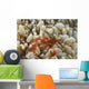 Orangutan Crab Bubble Coral Wall Decal