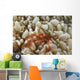 Orangutan Crab Bubble Coral Wall Decal