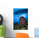 Diver and Barrel Sponge Wall Decal