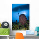 Diver and Barrel Sponge Wall Decal