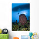 Diver and Barrel Sponge Wall Decal