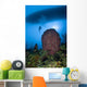 Diver and Barrel Sponge Wall Decal