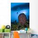 Diver and Barrel Sponge Wall Decal