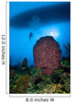 Diver and Barrel Sponge Wall Decal