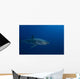 Male Great White Shark Wall Decal Design 6