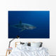 Male Great White Shark Wall Decal Design 6