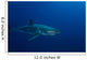 Male Great White Shark Wall Decal Design 6