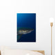 Male Great White Shark Wall Decal Design 8