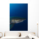 Male Great White Shark Wall Decal Design 8