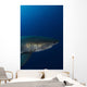 Male Great White Shark Wall Decal Design 8