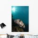 Wide-angle Image Pufferfish Raja Wall Decal