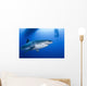 Male Great White Shark Wall Decal Design 5