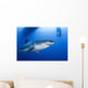 Male Great White Shark Wall Decal Design 5