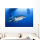Male Great White Shark Wall Decal Design 5