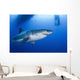 Male Great White Shark Wall Decal Design 5