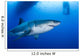Male Great White Shark Wall Decal Design 5