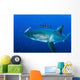 Male Great White Shark Wall Decal Design 7