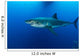Male Great White Shark Wall Decal Design 6