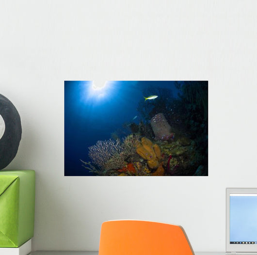Coral and Sponge Reef Wall Decal Design 1