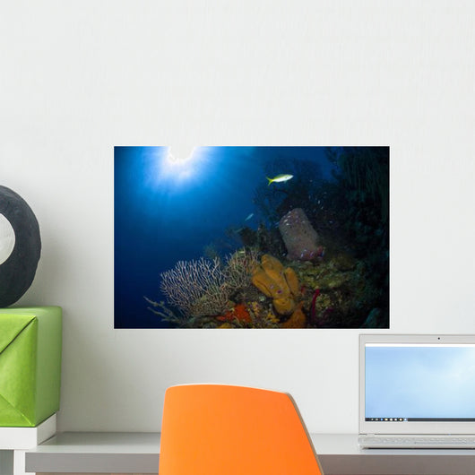Coral and Sponge Reef Wall Decal Design 1