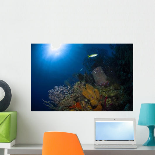 Coral and Sponge Reef Wall Decal Design 1