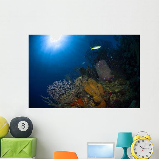 Coral and Sponge Reef Wall Decal Design 1