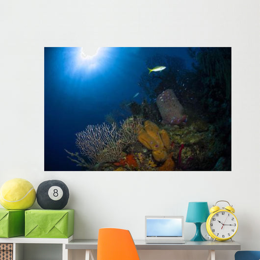 Coral and Sponge Reef Wall Decal Design 1